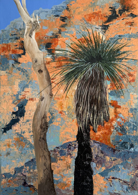 Warrumbungle Xanthorrhoea