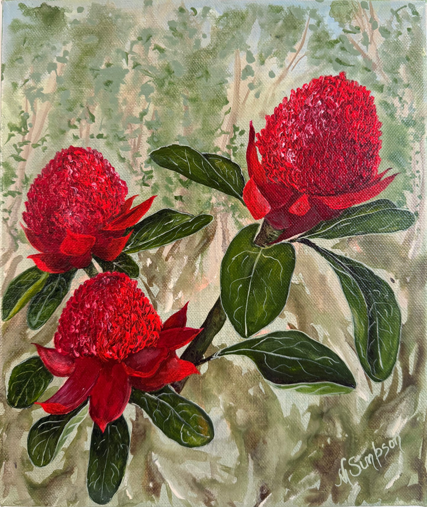 Waratah