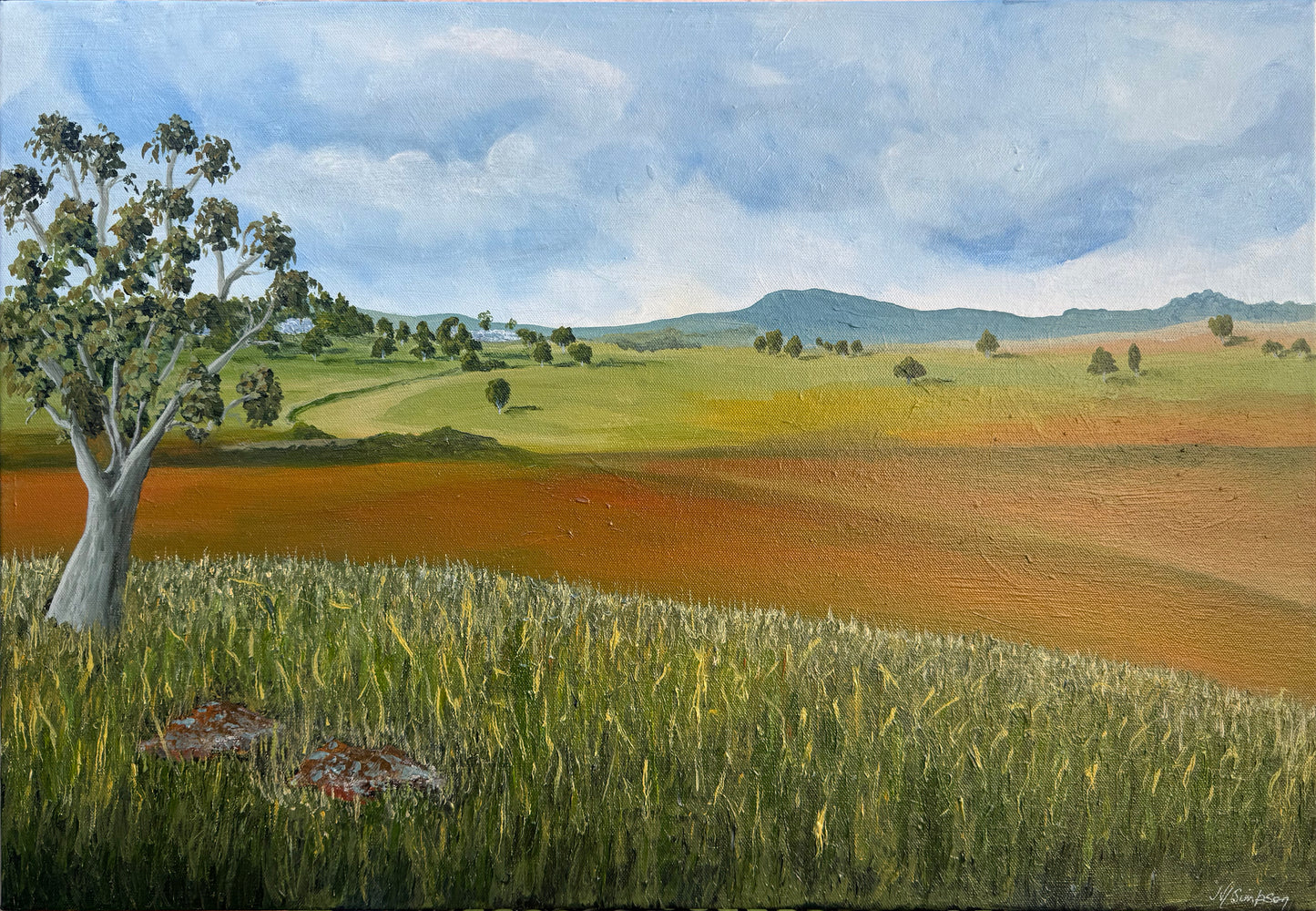 From the Back Hill