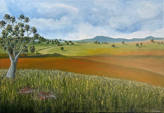 From the Back Hill
