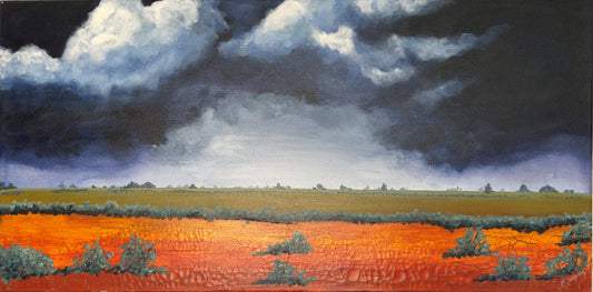 Storm on the Plain