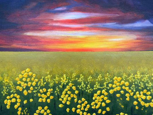 Sunset Canola
