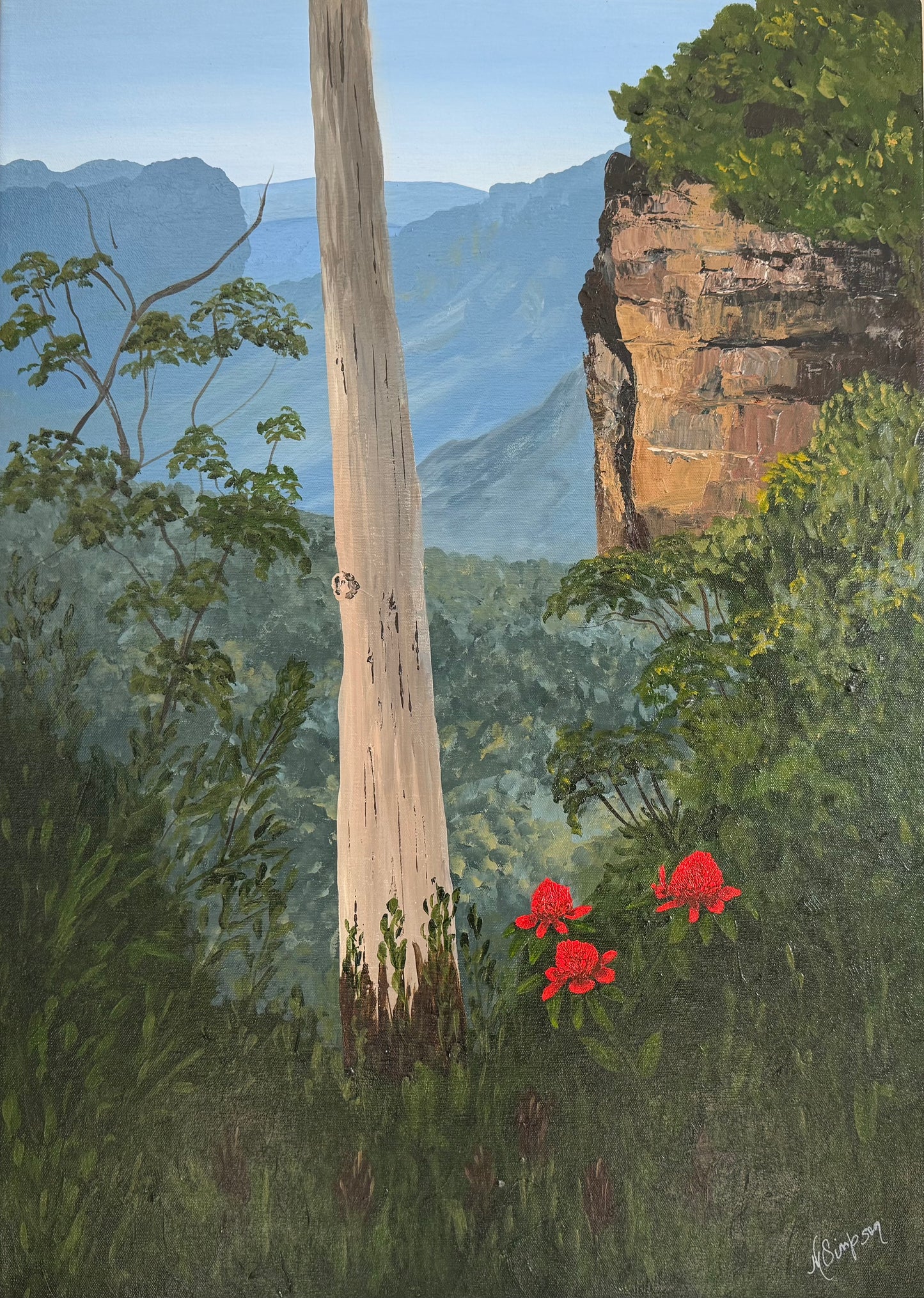 Waratahs in Paradise