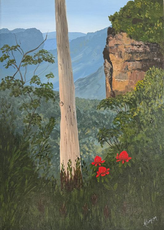 Waratahs in Paradise