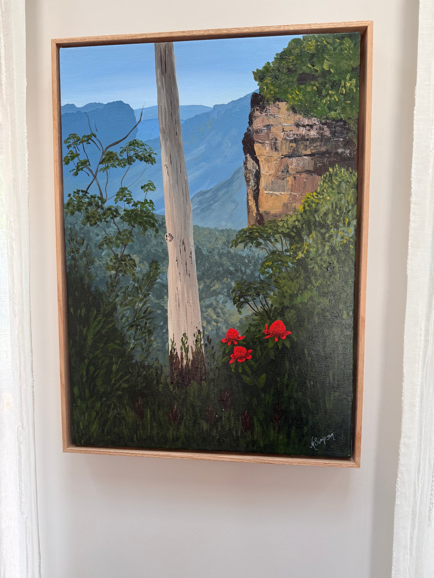 Waratahs in Paradise