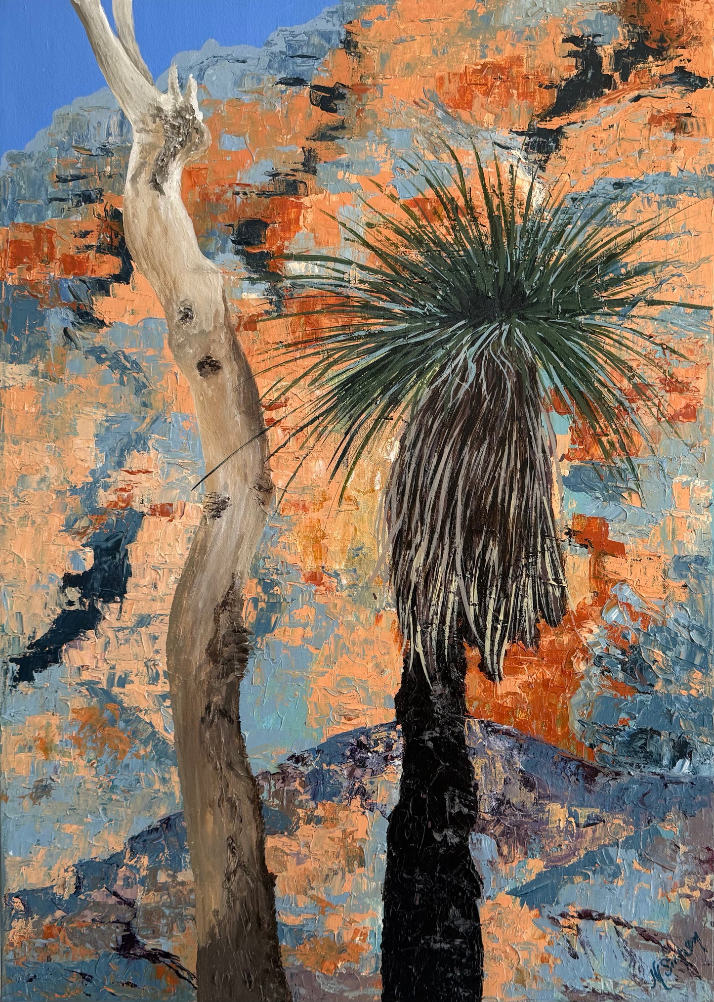 Warrumbungle Xanthorrhoea