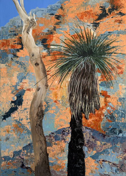 Warrumbungle Xanthorrhoea
