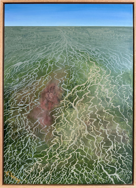 Water-laced channel country