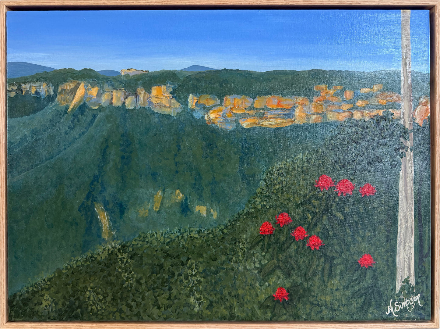 Waratahs overlooking the valley