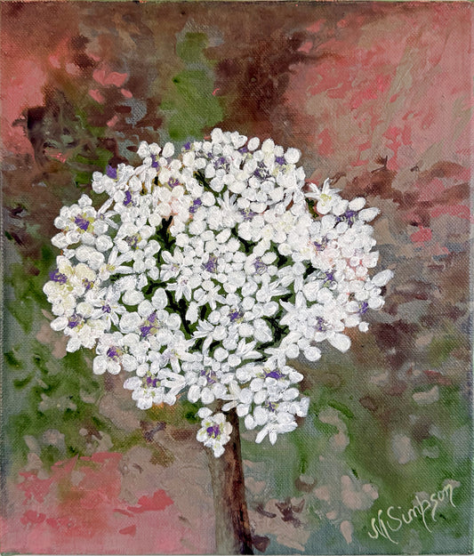 Smokebush