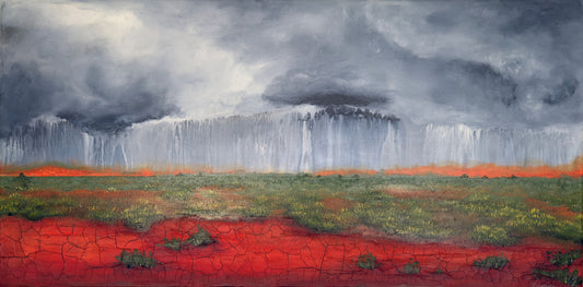 Outback Storm